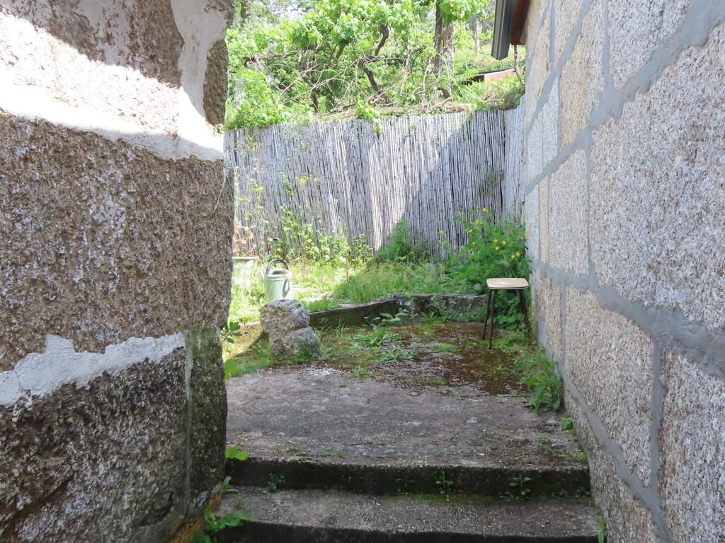 Moradia T2 em Travanca, Cinfães – Ideal para Habitação ou Férias - Image 15