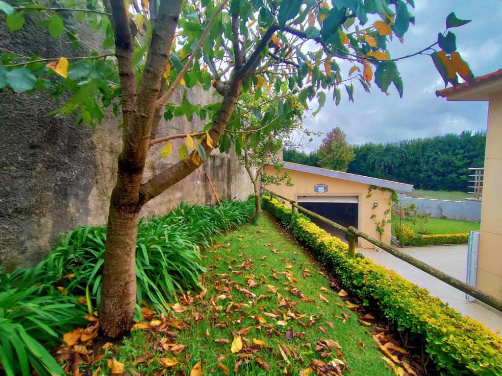 Moradia T5 em Gondifelos, Vila Nova de Famalicão - Image 55