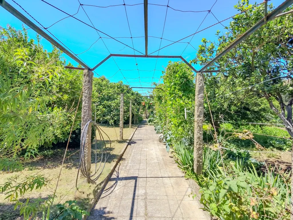 Quinta Santo António — Um refúgio único com piscina privada e potencial ilimitado na Maia - Image 36