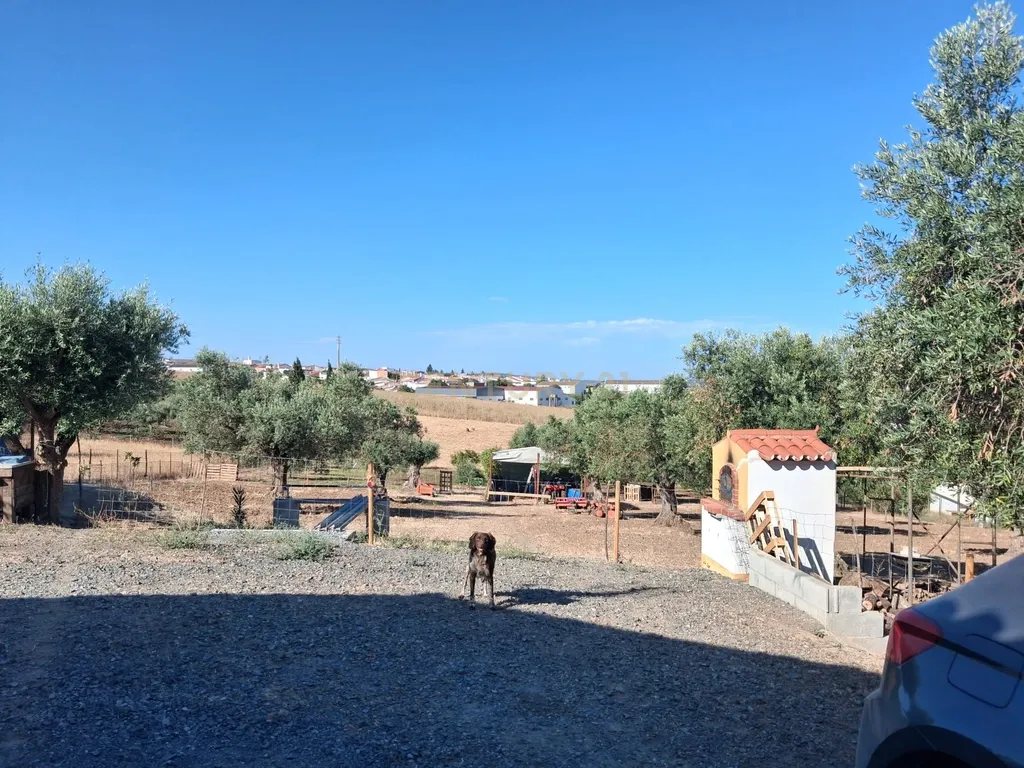 Quinta em Trigaches — 1 hectare em comunhão com a natureza - Image 17