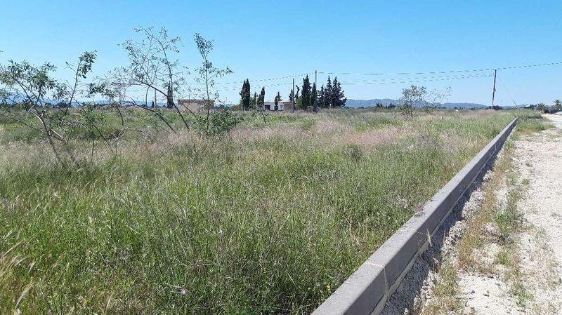 Terreno - Image 8