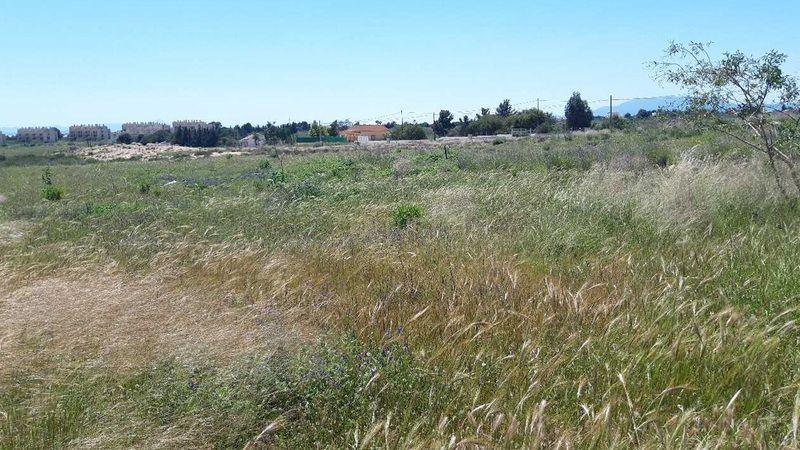 Terreno - Image 7