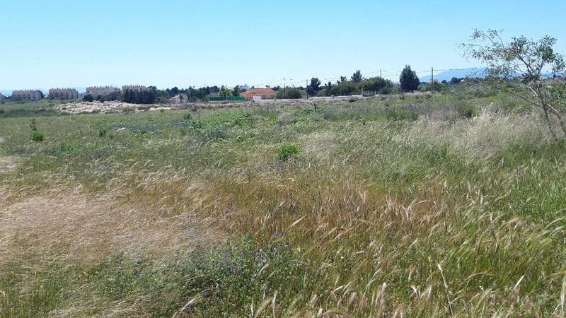 Terreno - Image 7