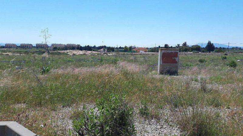 Terreno - Image 6