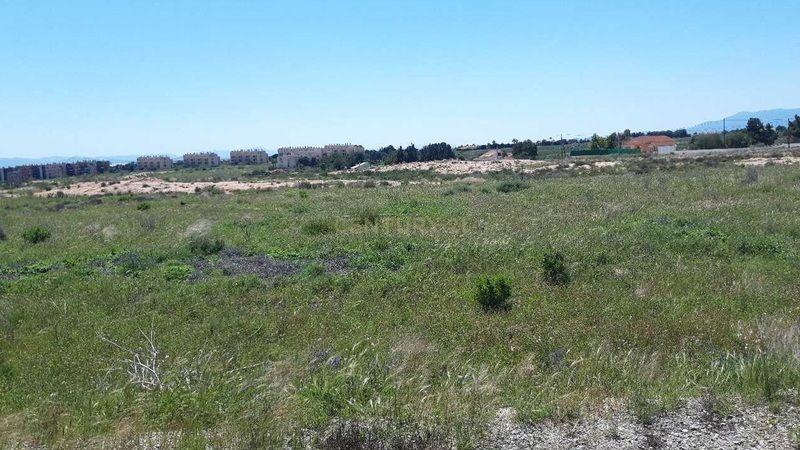 Terreno - Image 5