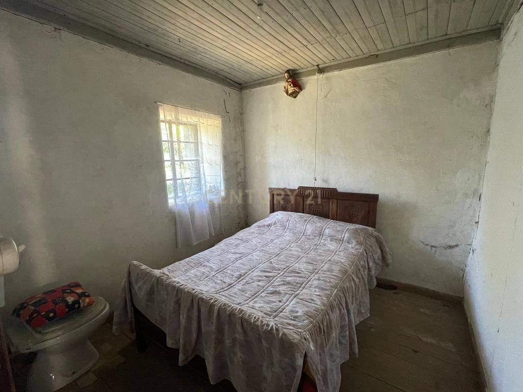Uma quinta com uma casa que necessita de restauro, situada num terreno de 4000m², cortado por um riacho. - Image 24
