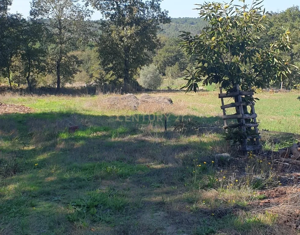 Moradia T3 +2 + Terreno Rústico de 3.700m2 em Fornos de Algodres - Image 18