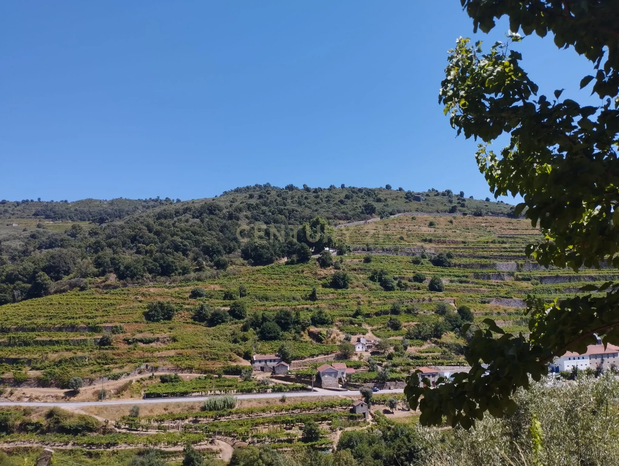 Moradia T3 à venda em Loivos da Ribeira e Tresouras, Baião — foto 31