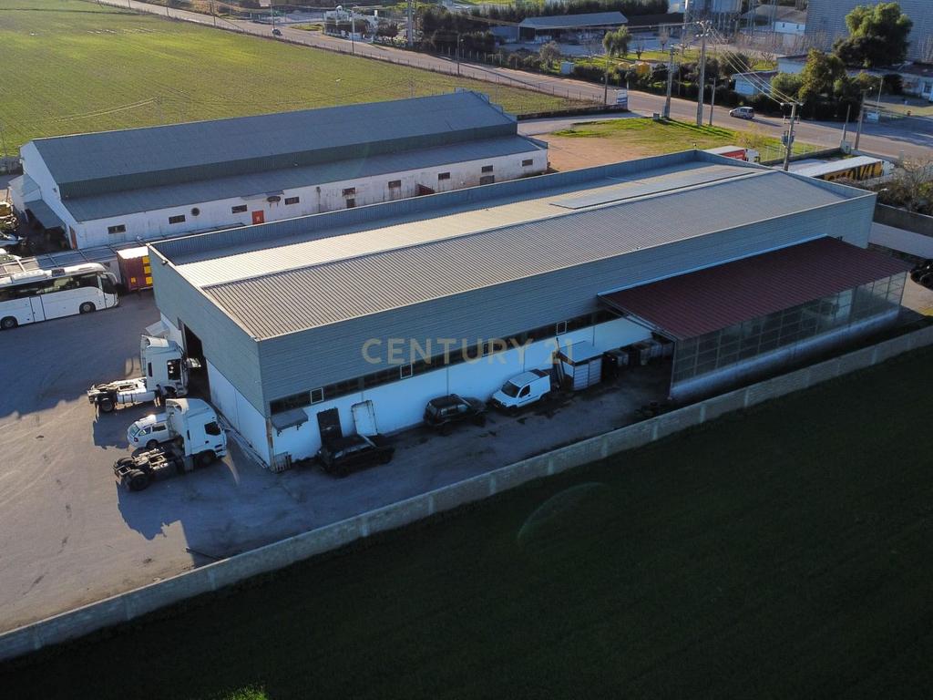 Armazém Industrial para Arrendamento – Riachos, Torres Novas - Image 2