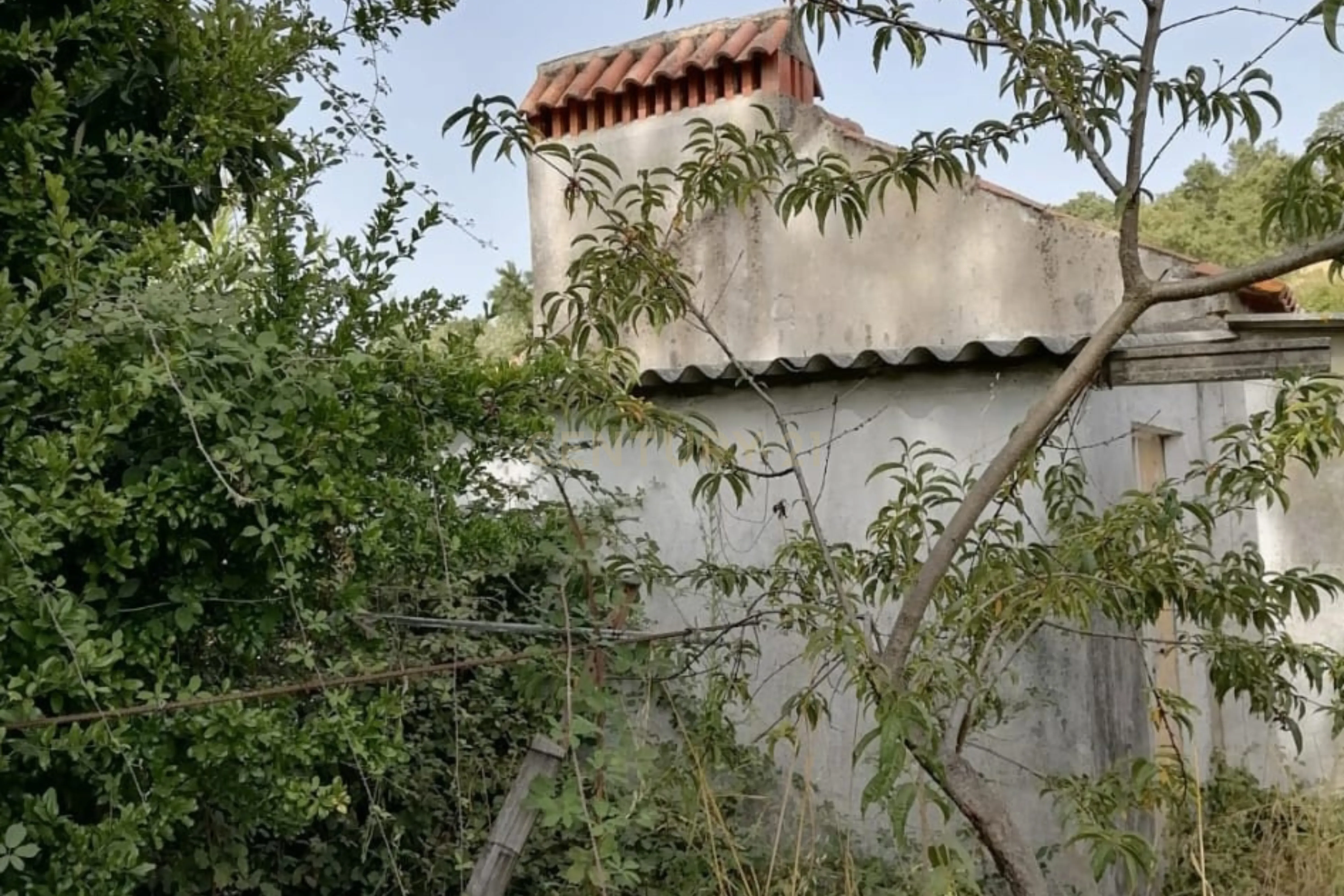 Fotografia 9 de Terreno Agrícola em Gavião, Portalegre - 2500m² com casa
