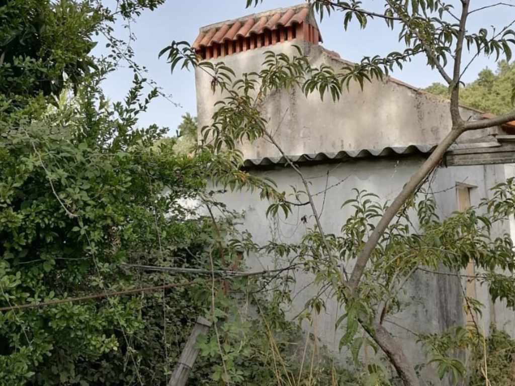 Terreno Agrícola em Gavião, Portalegre - 2500m² com casa - Image 9