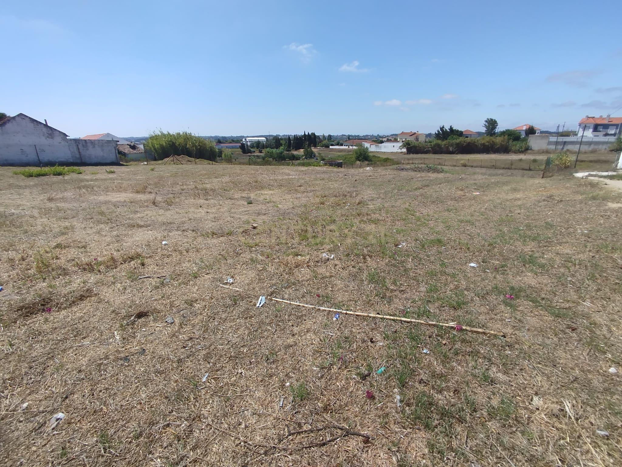 Fotografia 6 de Terreno com Projeto Aprovado Moradia T3 em Ereira, Cartaxo