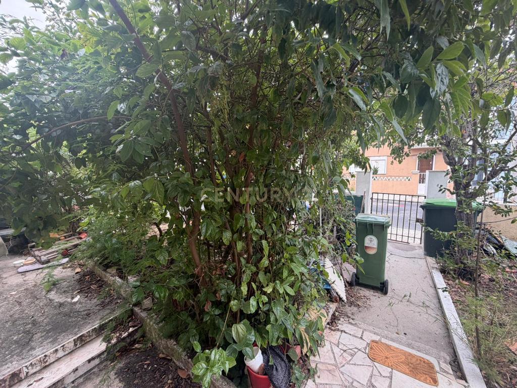 Moradia T5 com Anexo e Jardim | Para Remodelação ao Seu Gosto - Image 2
