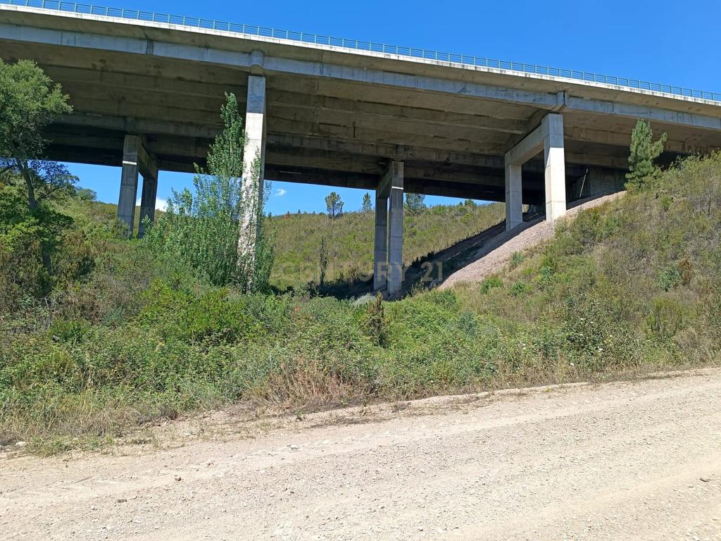 Terreno rústico de 112.000m2 em Ladeiras - S. Bartolomeu de Messines  - Silves - Image 3
