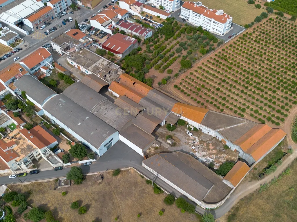 Terreno Urbano com 7.780m2 I Armazéns e Habitação I São Bartolomeu de Messines - Image 10