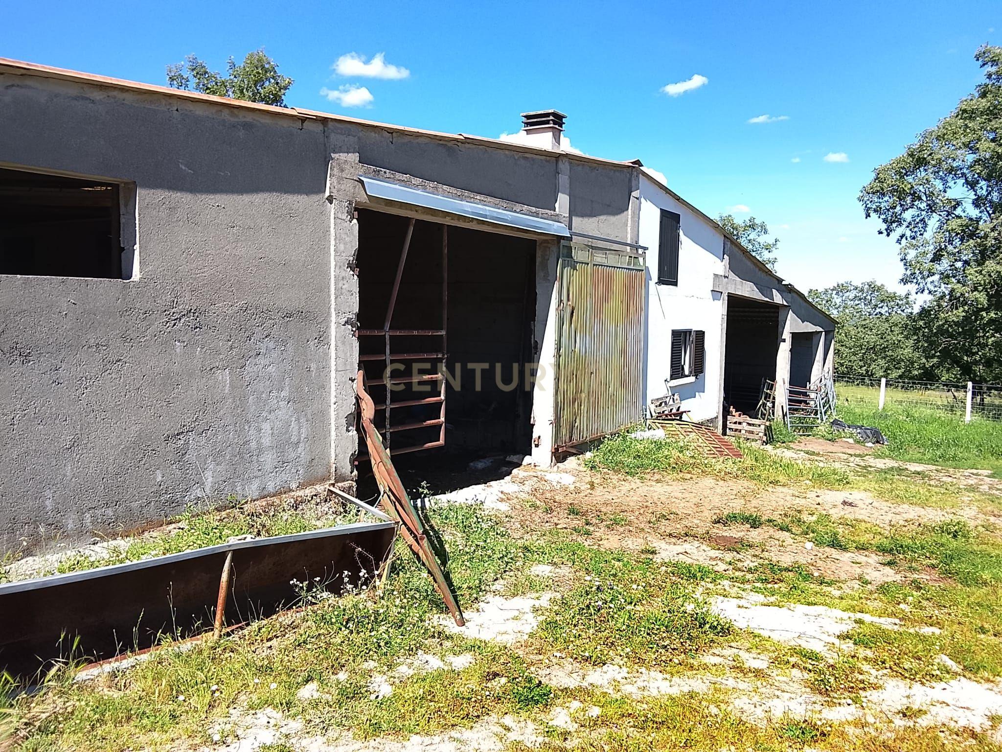 Fotografia 4 de Terreno Rústico, 9800m2, com Vista para Montanha em Baraçal, Sabugal