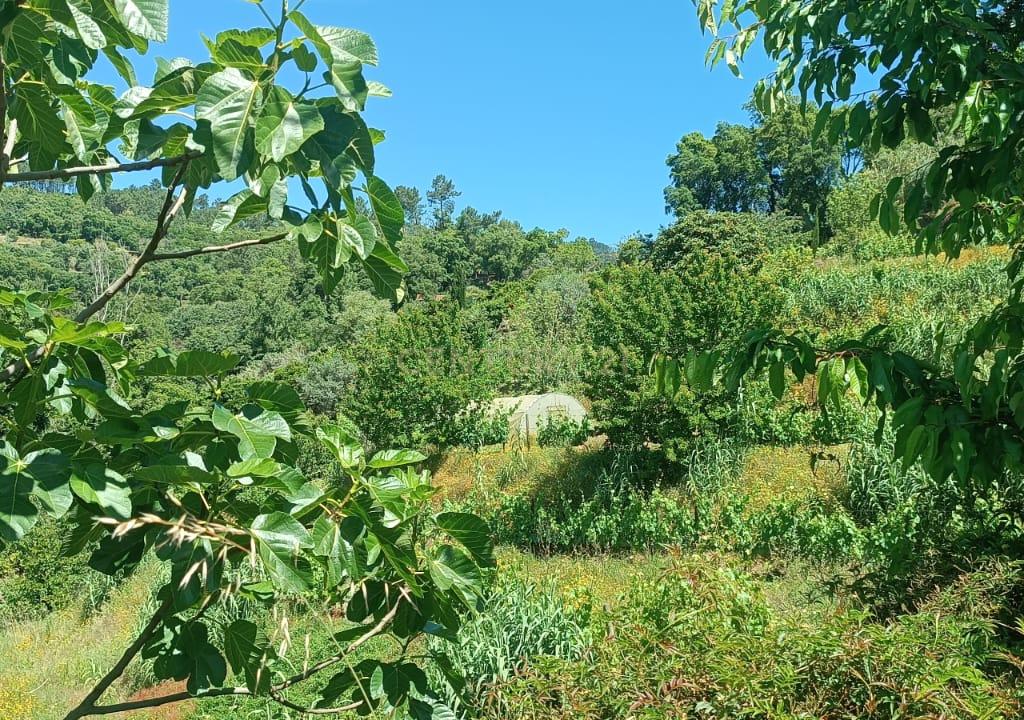 Casa com terreno de construção e agrícola perto do rio Douro em Granja, S. Tomé de Covelas, Baião, Porto - Image 42