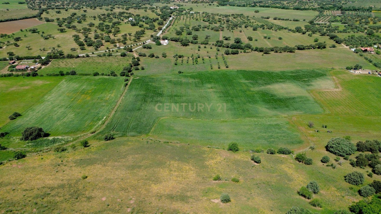 Fotografia 8 de Terreno em Monsaraz junto ao Castelo