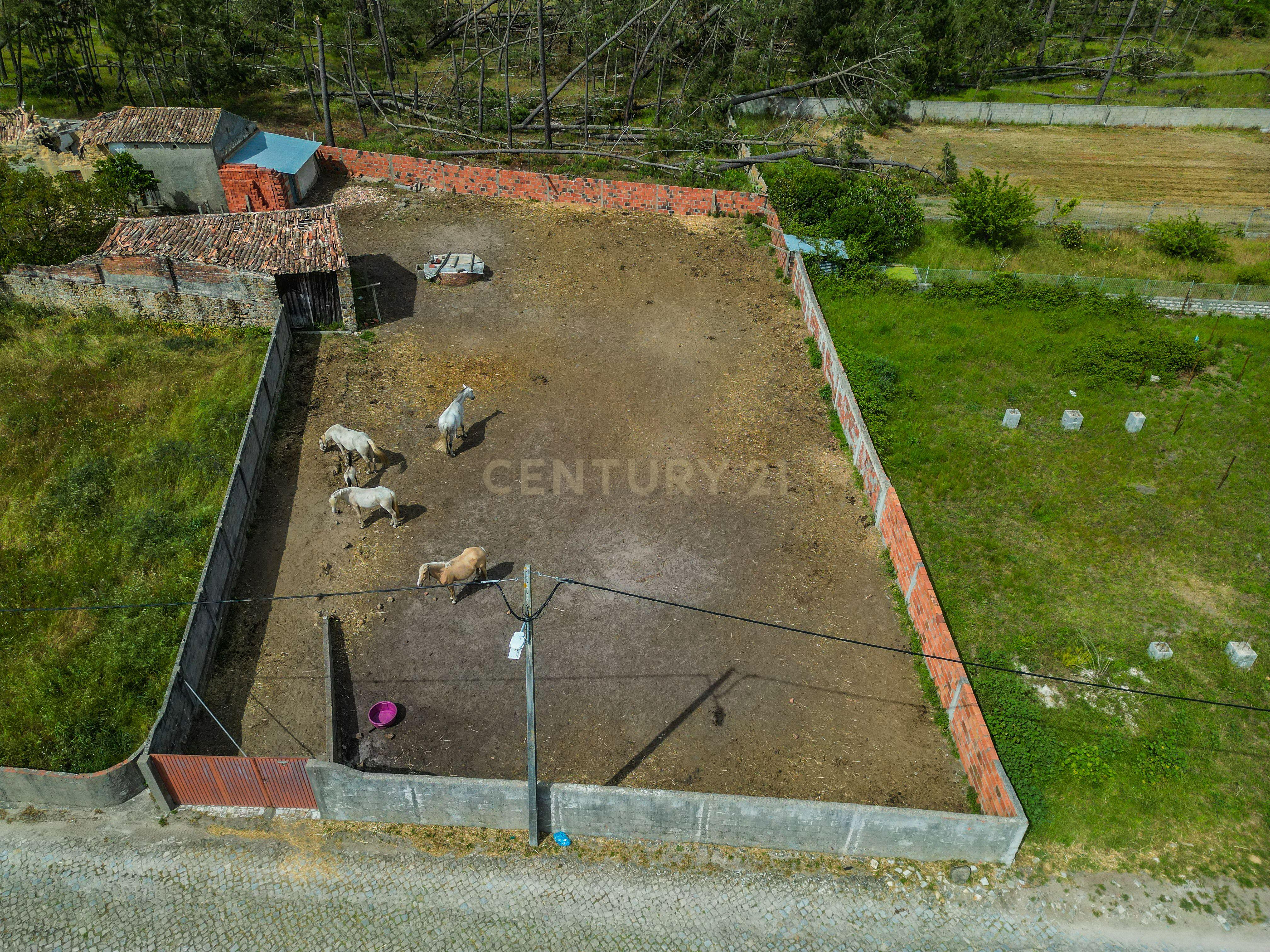 Fotografia 2 de Terreno com 740 m² para construção em Vieira de Leiria