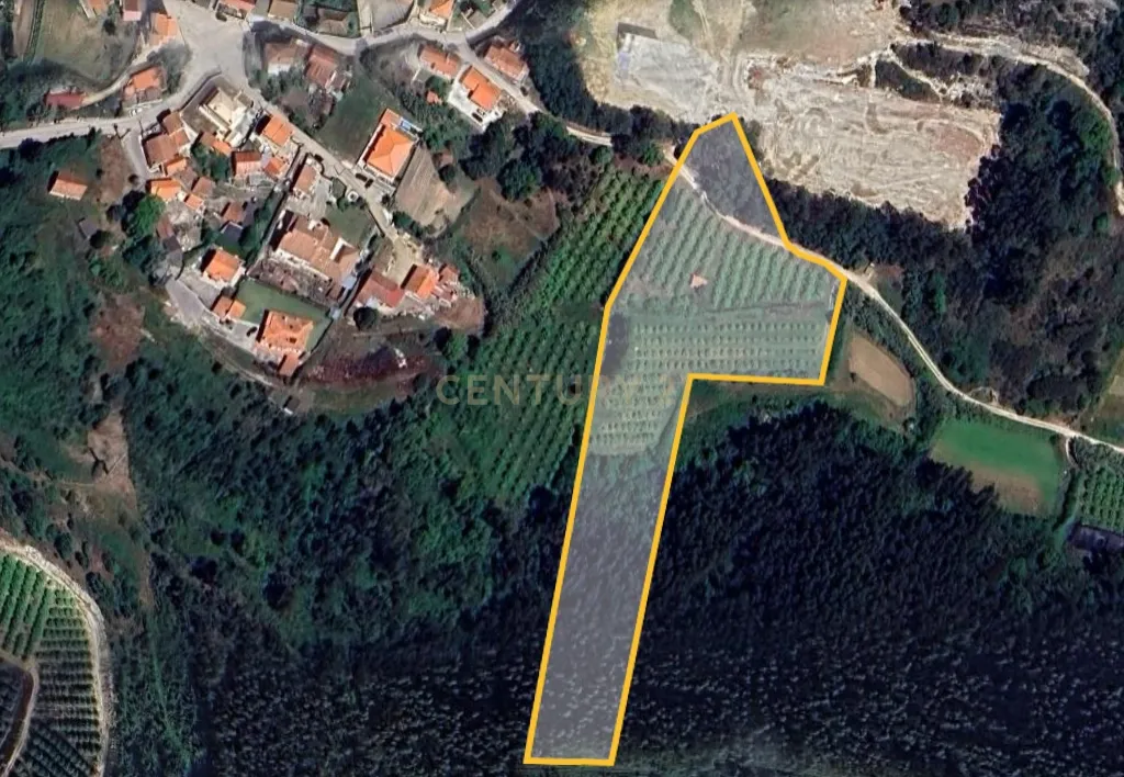 Terreno com Limoeiros | Próximo da Aldeia | Chanca - Mafra - Image 9