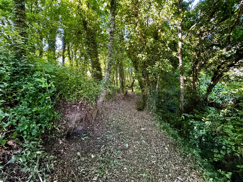 Terreno com 2,6519 hectares, situado em Abragão, Penafiel - Image 7