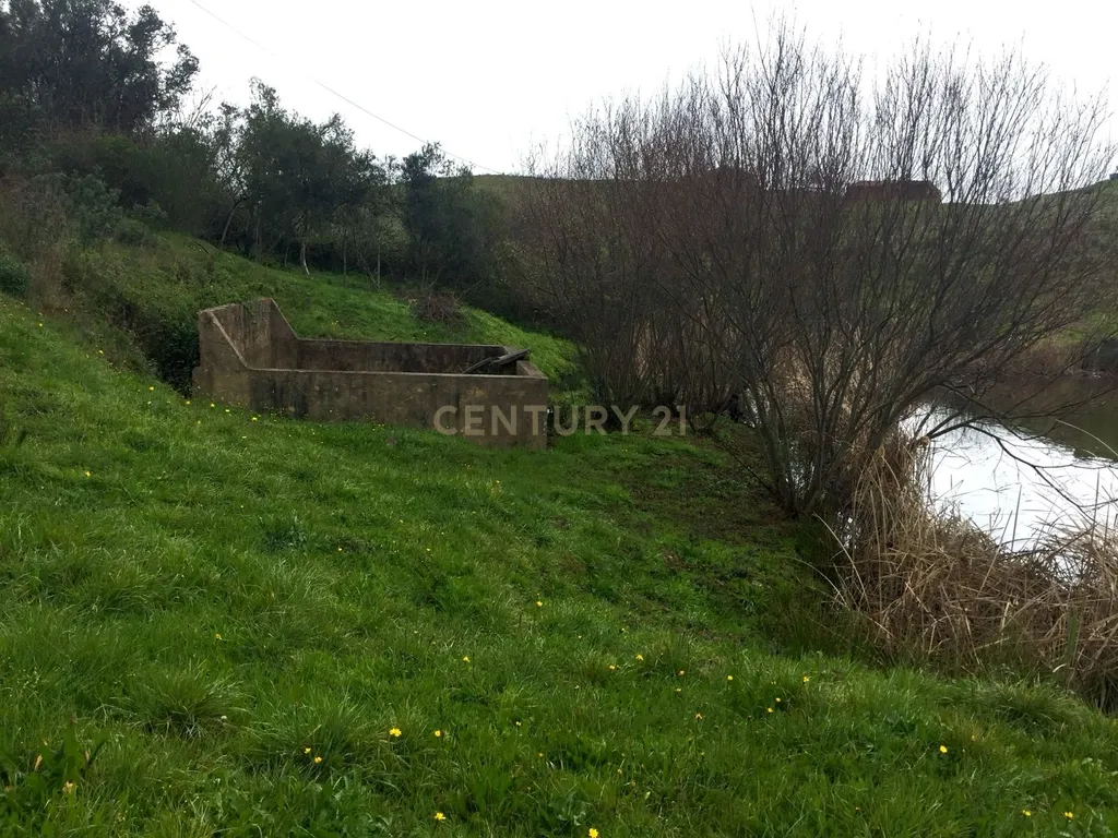 Casa de Campo com 2,53 Hectares de Terreno Misto – S. Marcos da Serra / Silves - Image 5