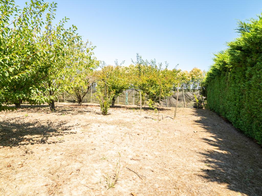 Moradia T4 Isolada com 308 m2 de construção, Jardim, com 4270 m² de Terreno. - Image 95