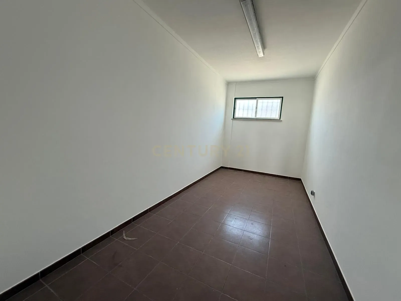Armazém Industrial para Arrendamento – Riachos, Torres Novas - Image 6