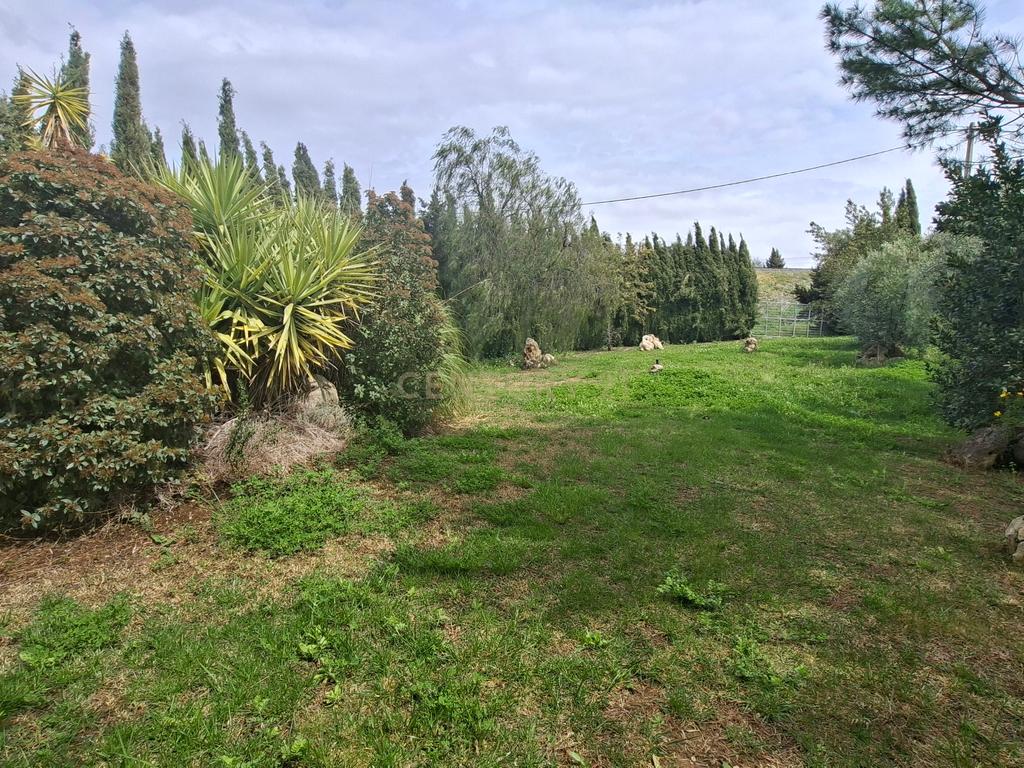✨ Moradia Exclusiva em Arriate – Piscina, Vistas e Alta Rentabilidade Turística 📍Ariate, Serrania de Ronda | 📐 Terreno de 5.600 m² - Image 70