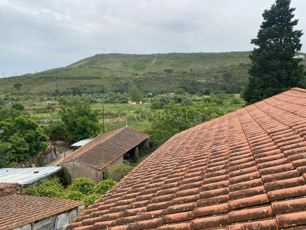 Casas Senhoriais Início Sec XIX + Terreno 4100m2 | 20 minutos de Coimbra - Image 6
