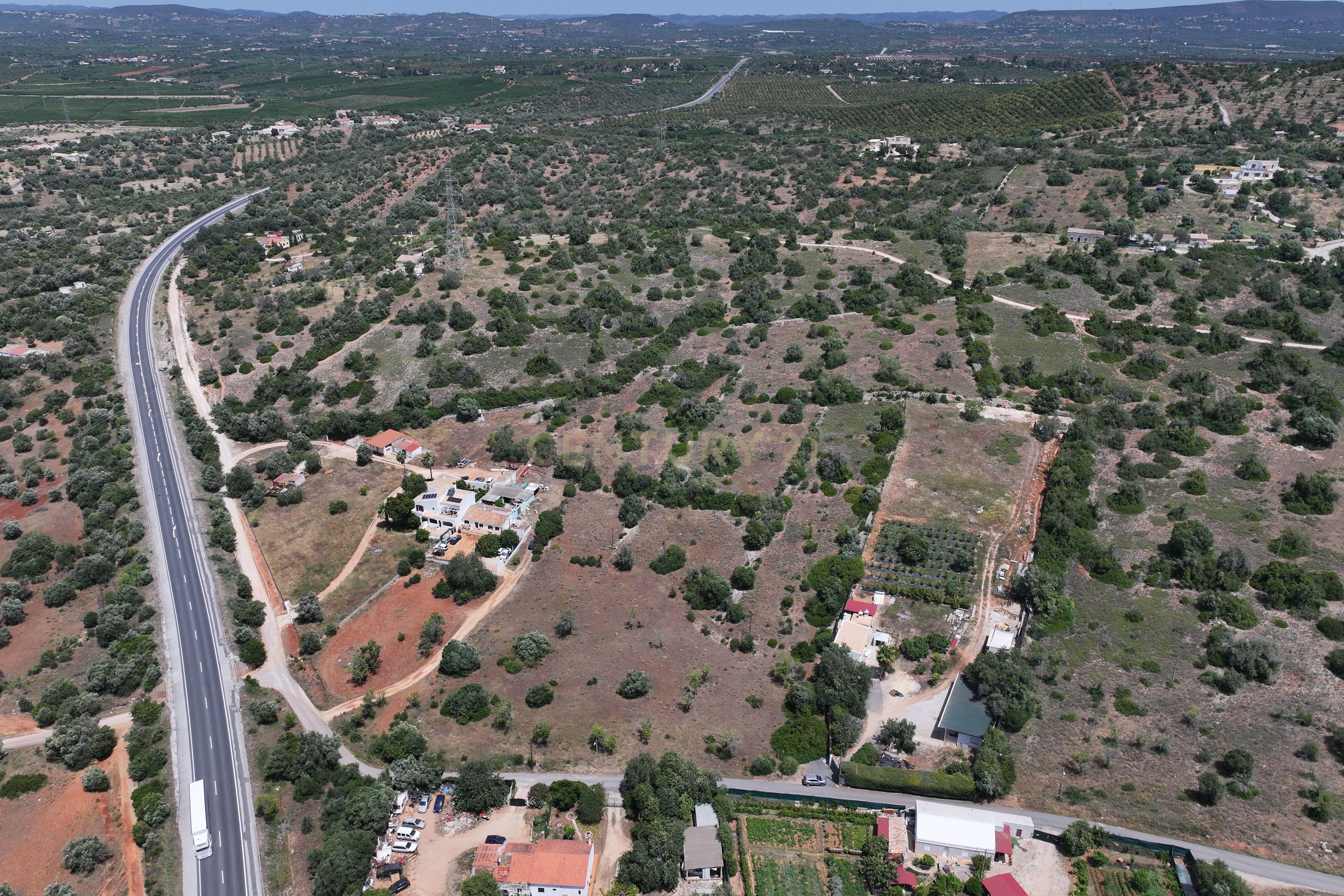 Fotografia 6 de Terreno rústico localizado em Gateiras em Tunes, com uma área total de 14880m².