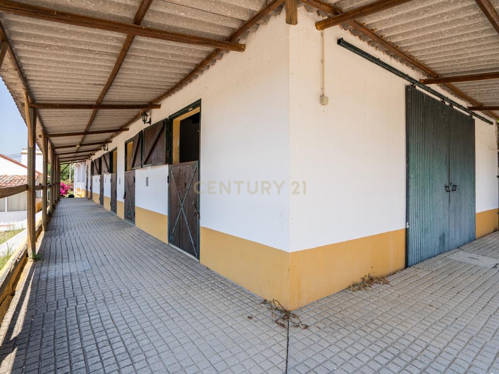 Quinta Equestre a 45 minutos de Lisboa - Image 15