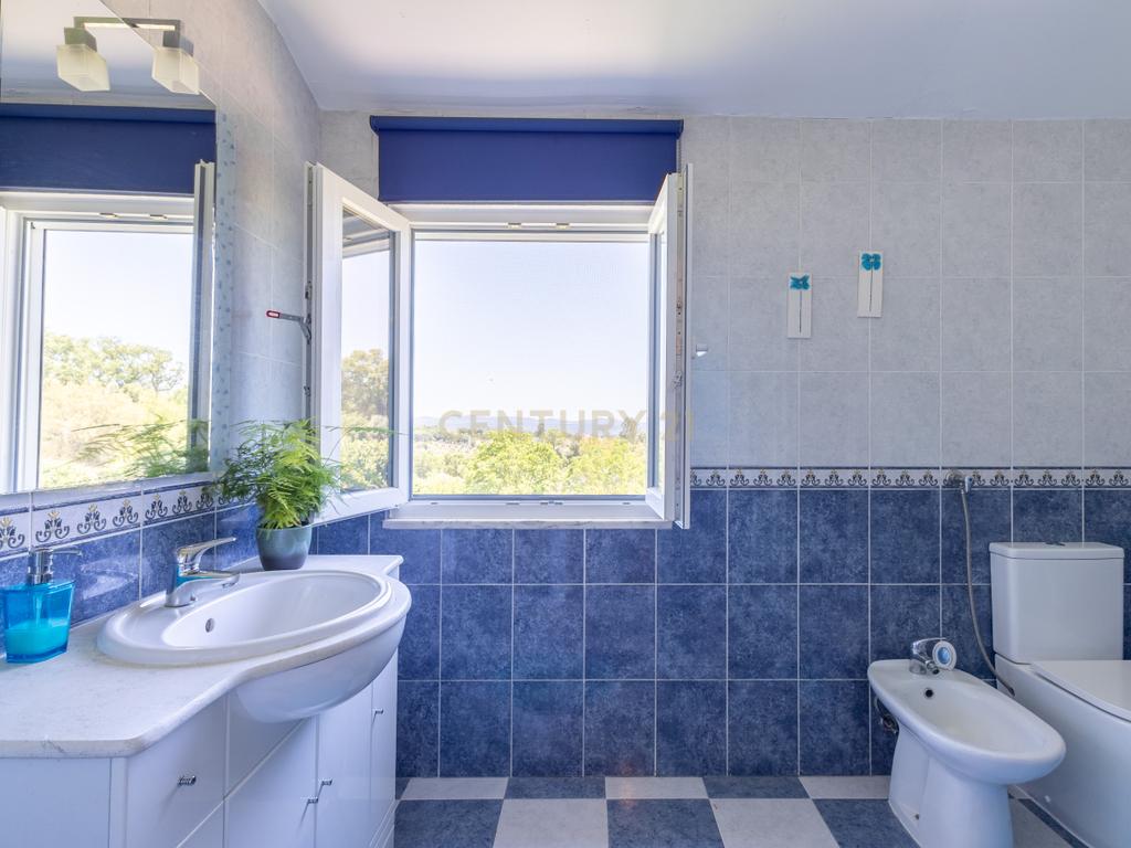 Quinta de 1ha vedada com piscina, jacuzzi, pomar e vista panorâmica em Olalhas, Tomar - Image 12