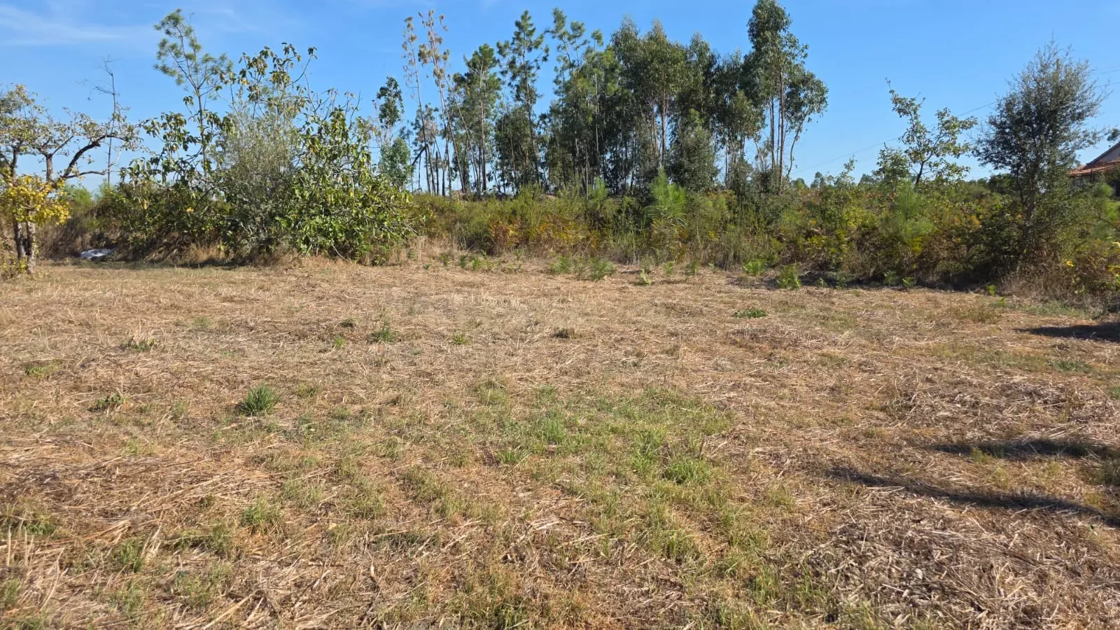 Moradia T2 à venda em Almagreira, Pombal — foto 36