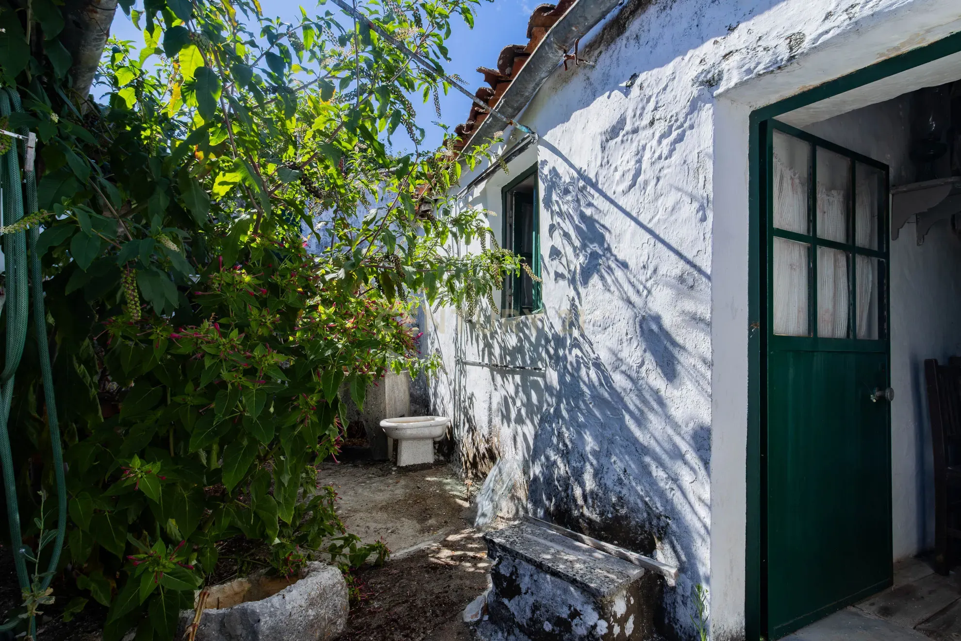 Moradia T2 à venda em Minde, Alcanena — foto 3
