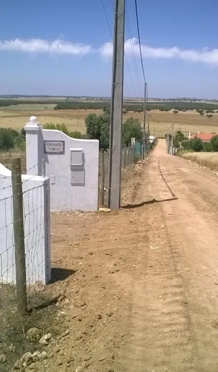Quinta em Trigaches — 1 hectare em comunhão com a natureza - Image 28