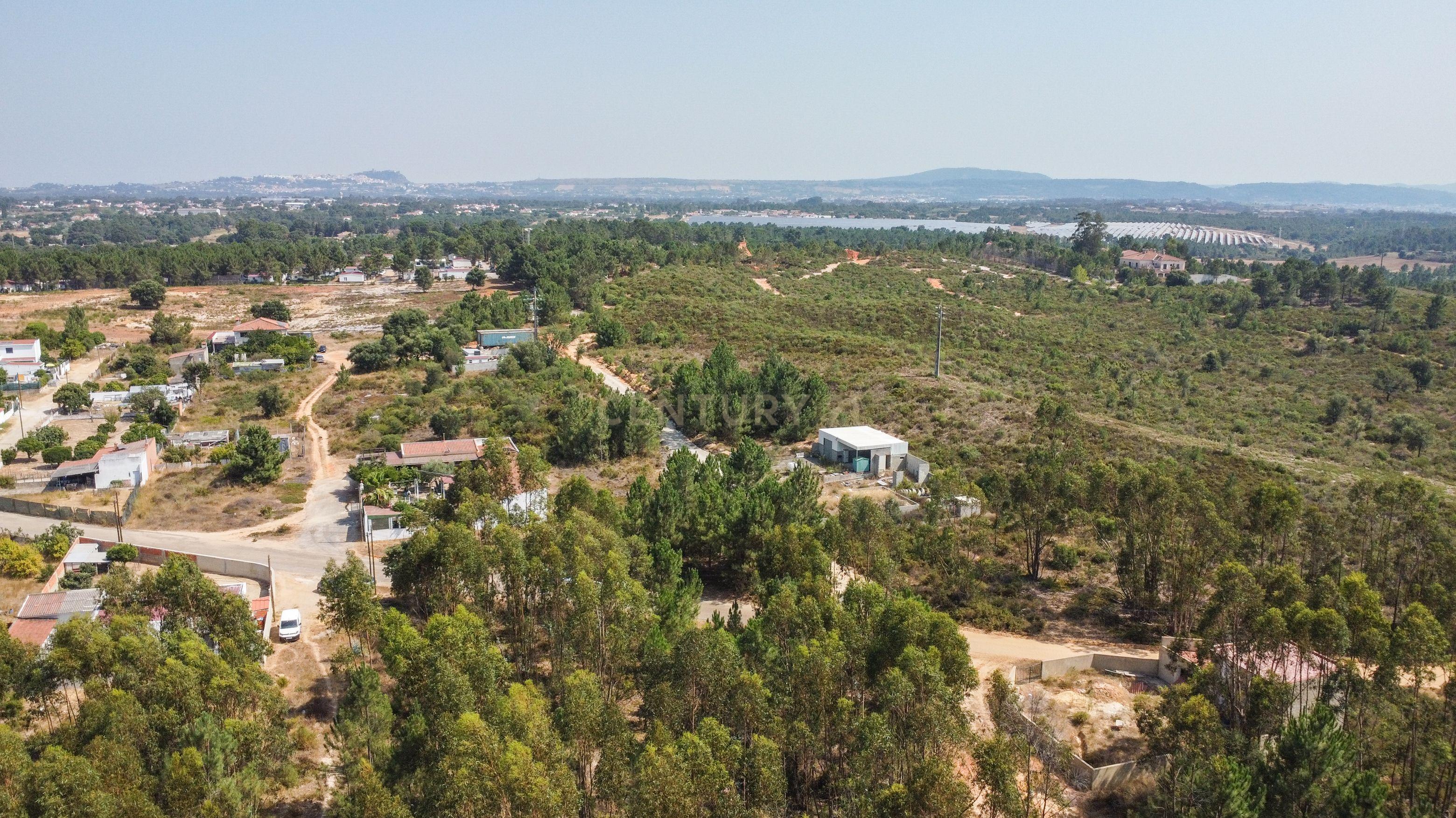 Fotografia 11 de Lote de Terreno com Elevado Potencial de Construção – Herdade do Pinhal das Formas, Quinta do Anjo