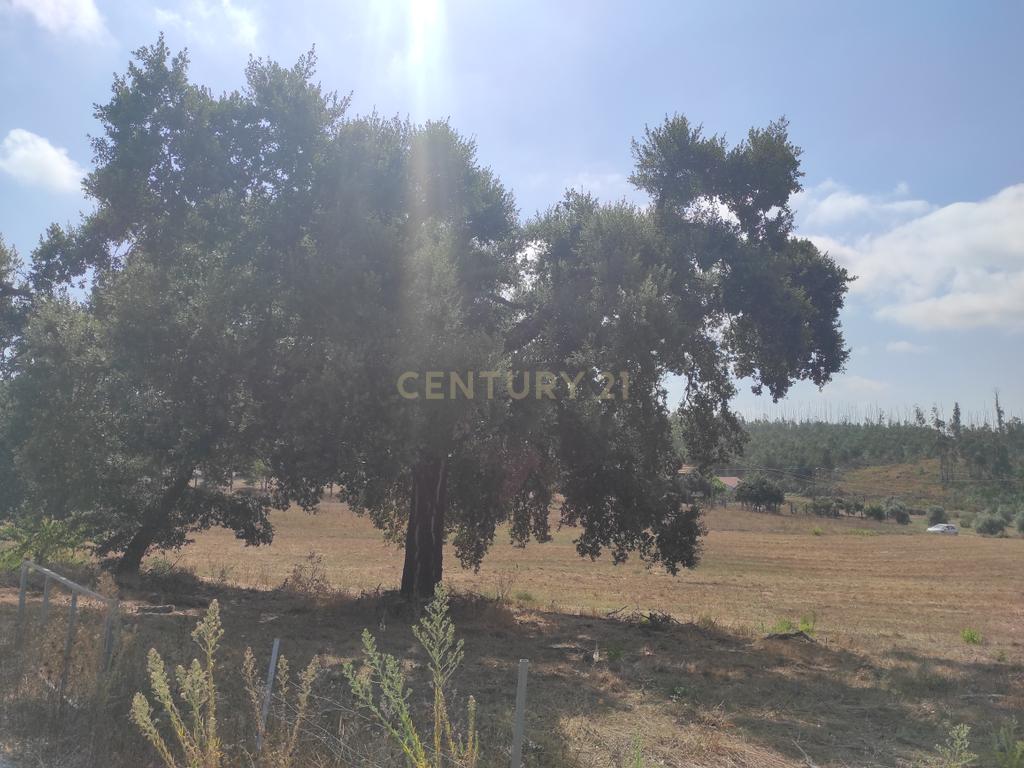 Terreno Urbanizável em Leão, Caranguejeira - Leiria - Image 7