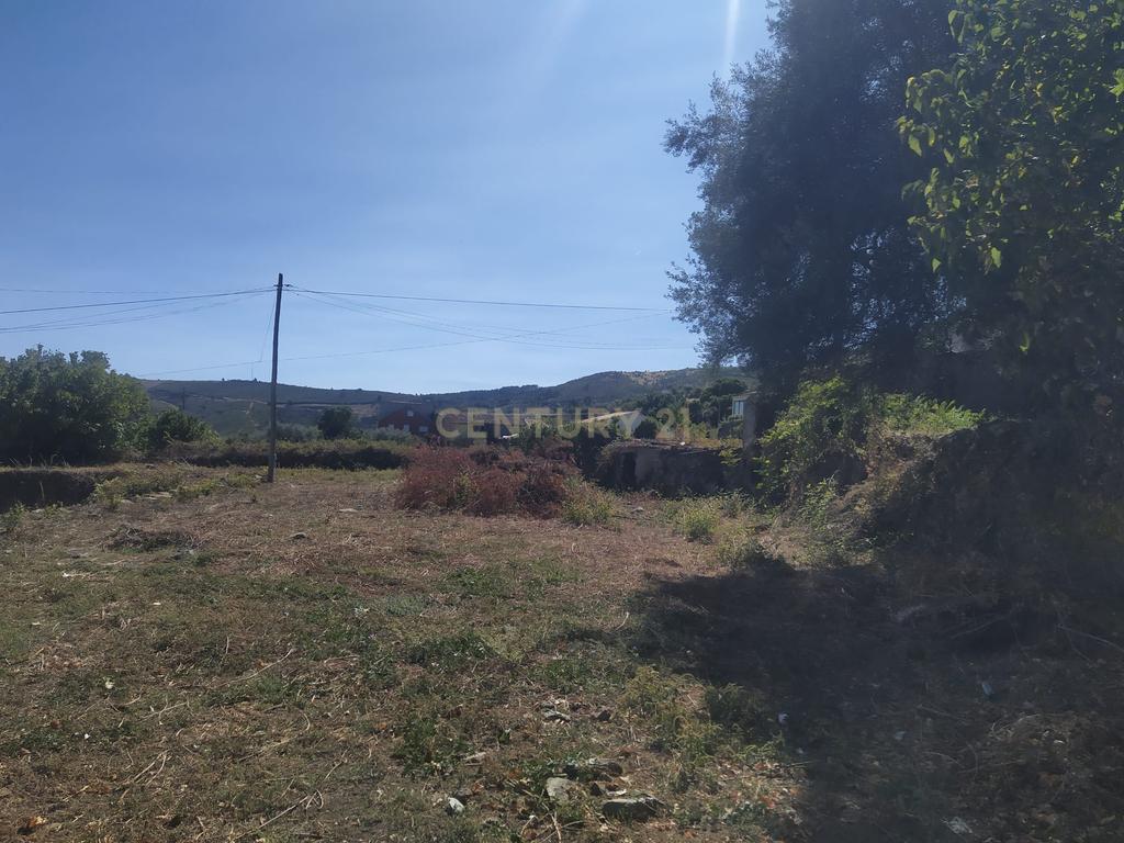 Moradia para reconstruir - Chacim - Image 4