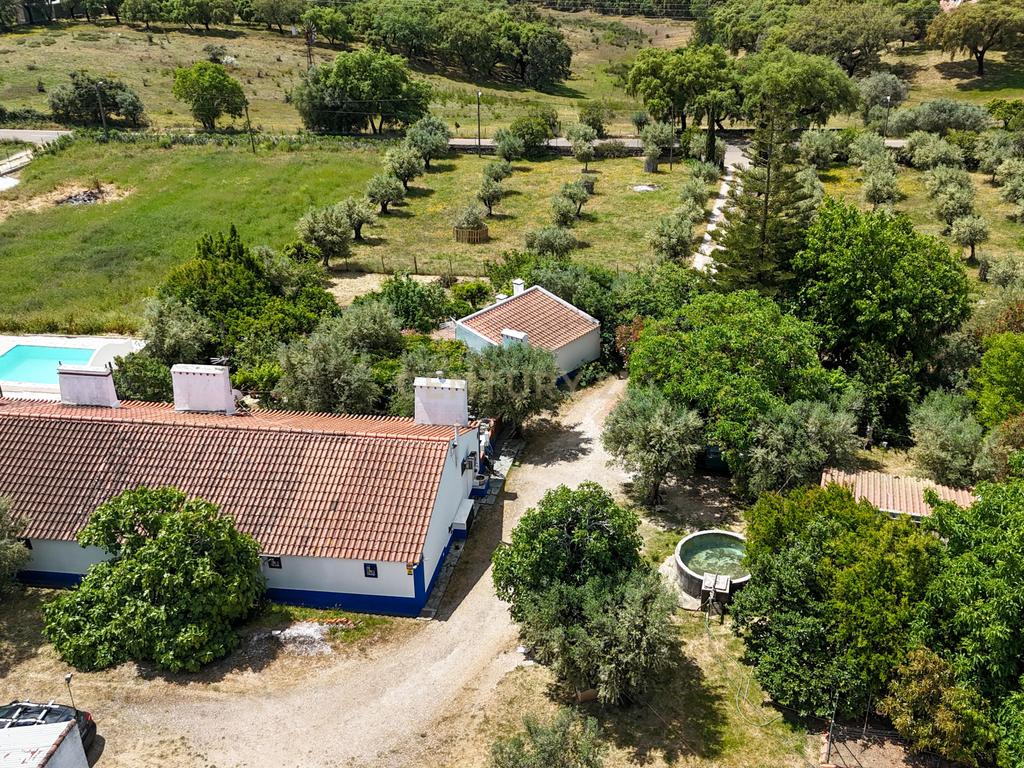 Quinta T3+3 com 4 HA em Borba – Natureza, Produção Agrícola e Conforto - Image 31