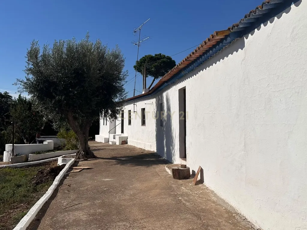 ALBERNOA-BEJA - ALENTEJO- Quinta com 1750 m2. Casa de 229 m2 Cozinha-Sala -3 quartos . Garagem. - Image 65
