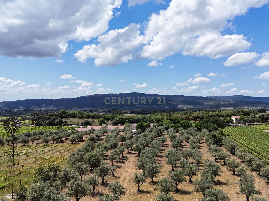Quinta T3+3 com 4 HA em Borba – Natureza, Produção Agrícola e Conforto - Image 23