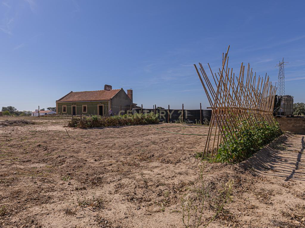 Quinta Rural T3, c/ Terreno 16,775ha, Melides, Grândola - Image 4