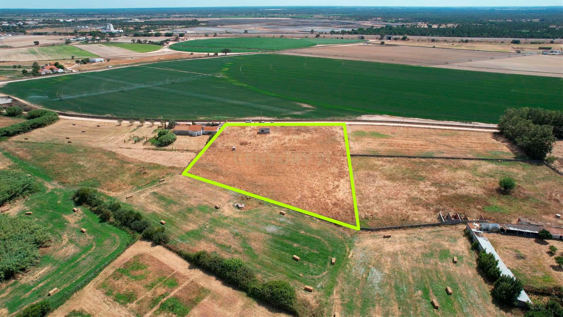 Terreno com 8.700 m² no Rego da Amoreira — Alcochete