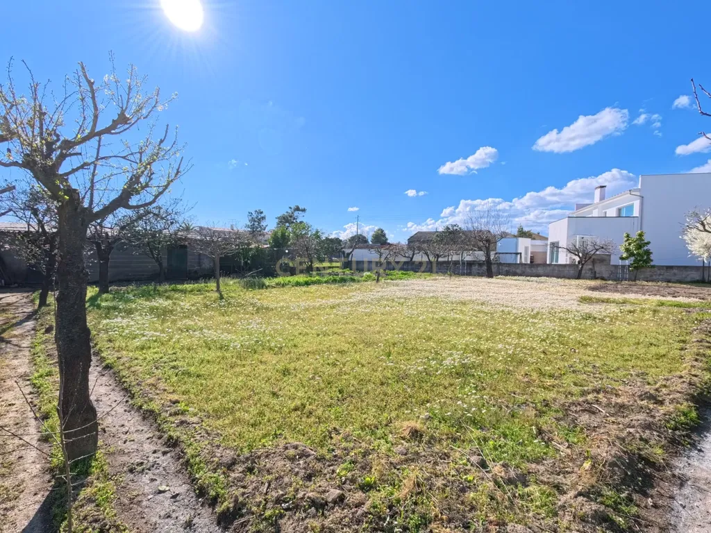 Moradia térrea T5 com 1600 m² de terreno em Fragosela - Viseu - Image 20