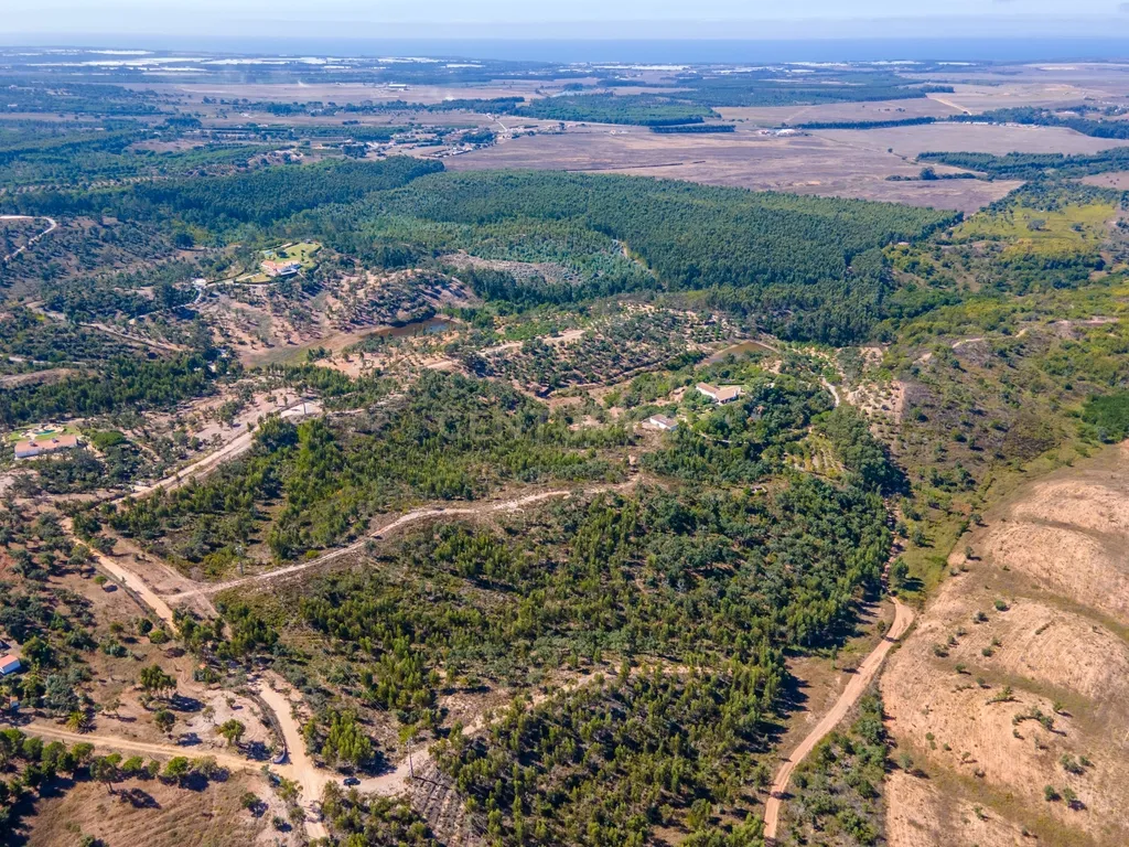 🌿 Terreno Exclusivo com 8 ha em São Teotónio — Oportunidade Única no Coração da Costa Vicentina 🌊 - Image 6