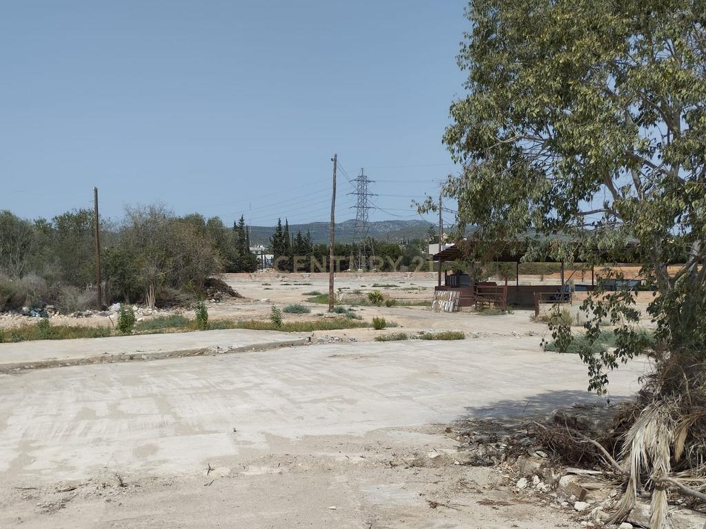 undefined - Image 5