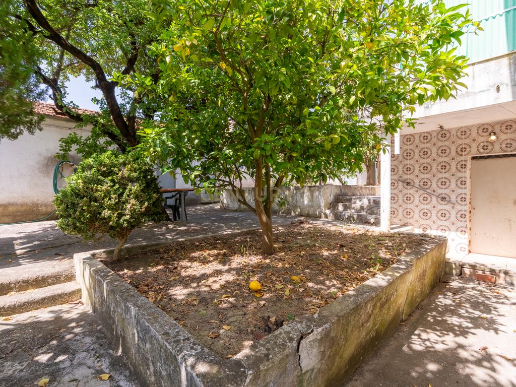 Quinta com 9320m2 em São João dos Montes (Alhandra) - Image 14