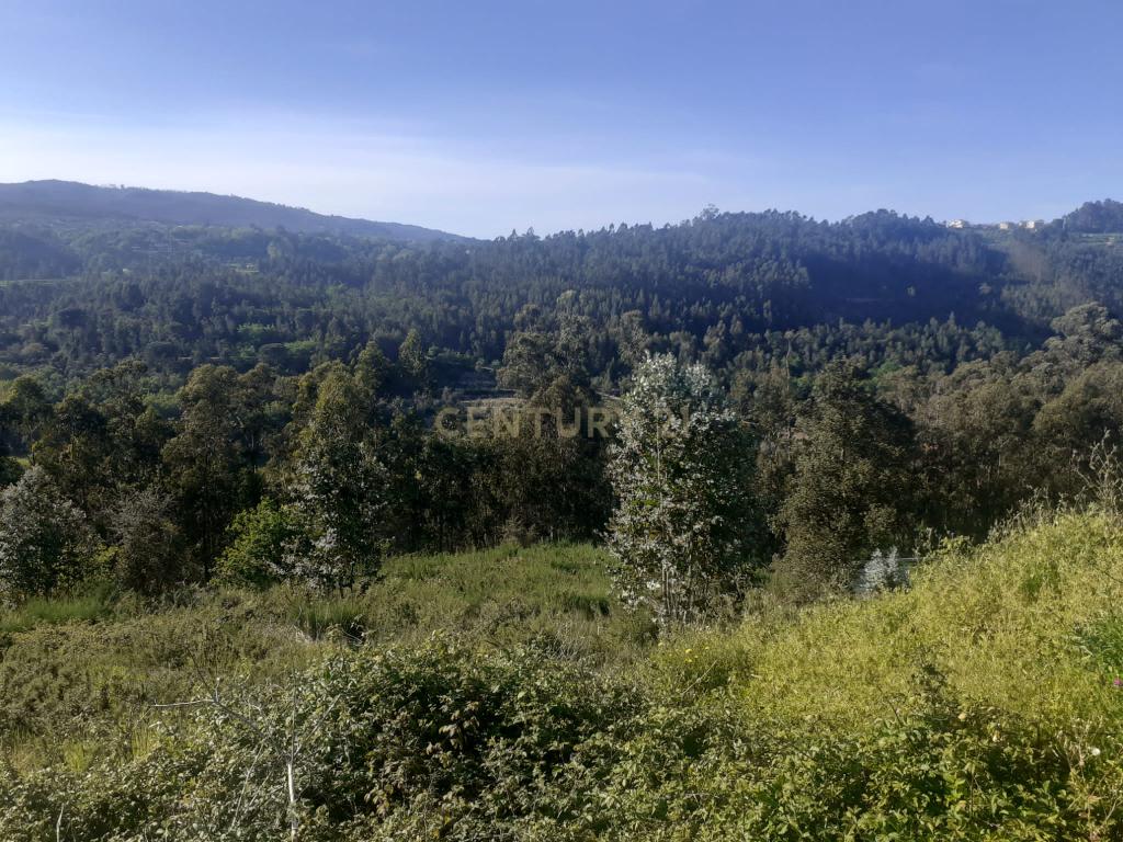 Terreno para construção - Torrão - Marco de Canaveses - Image 10