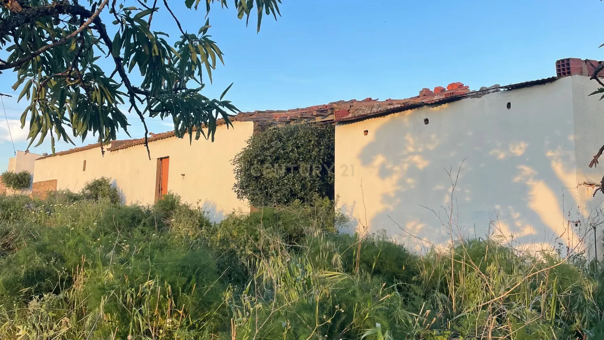 Fotografia 11 de Quinta tradicional com vista deslumbrante e possibilidades para tourismo rural, Almadena, Lagos